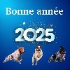  - Bonne année 2025 !