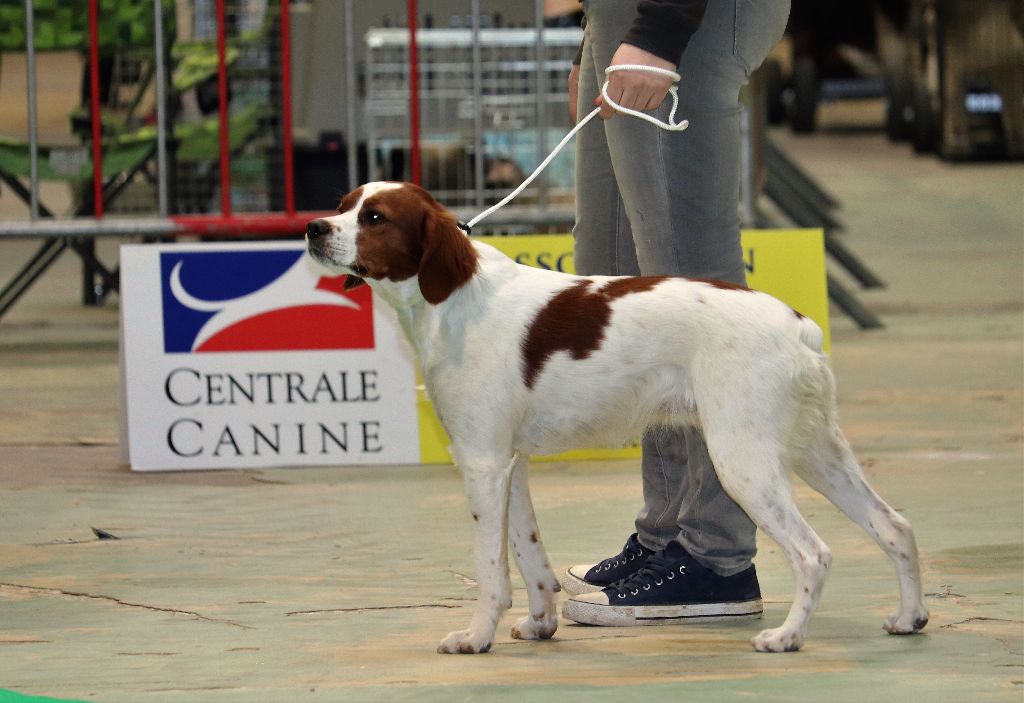 Des Tours Guillaume - 31.03.2019 Exposition Internationale de DOLE (39)