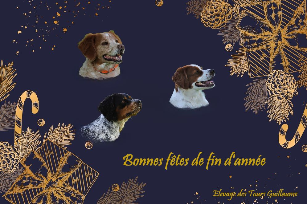 Des Tours Guillaume - Bonnes fêtes de fin d'année ! 