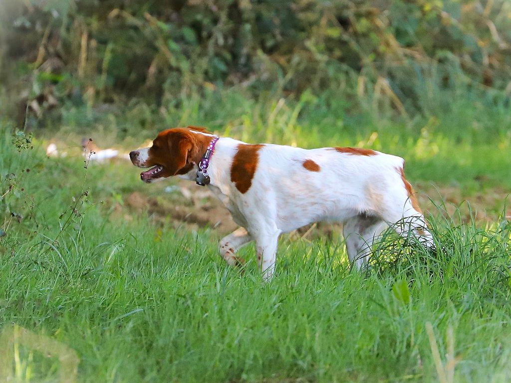 Awenn Des Tours Guillaume