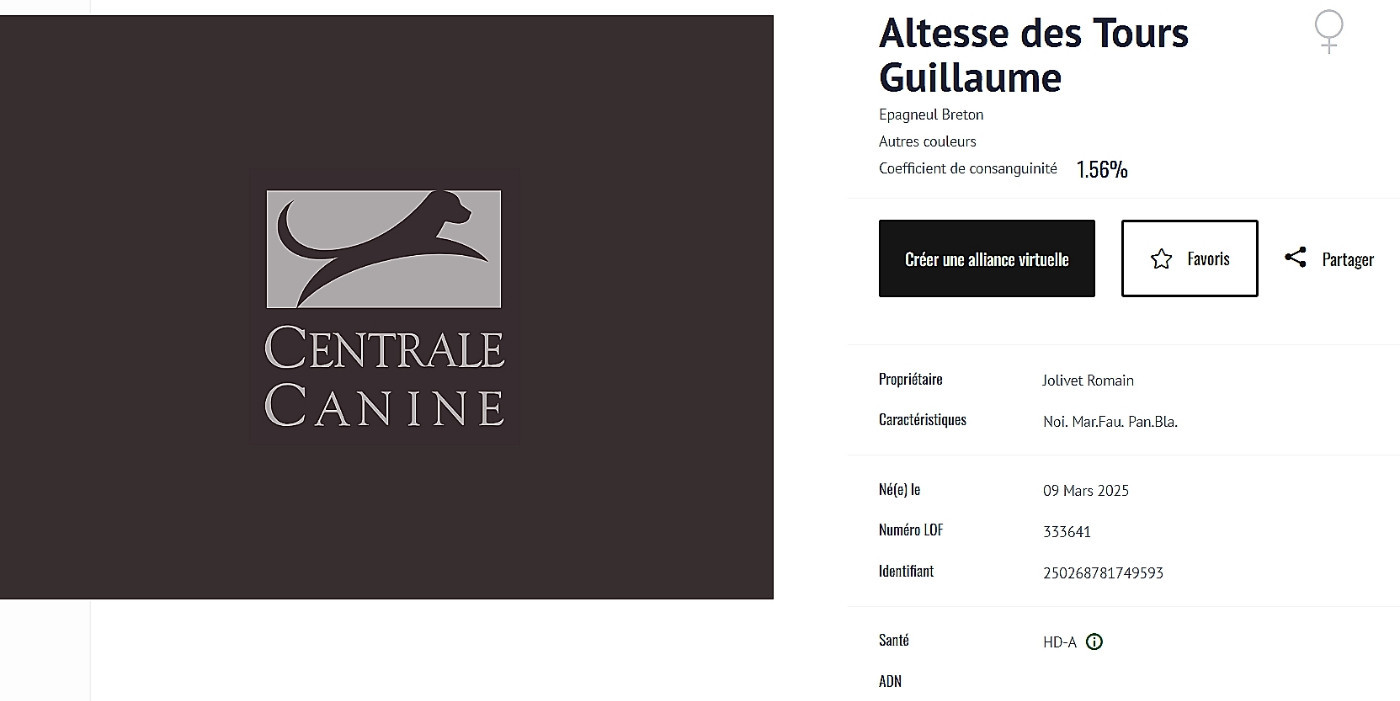 Les "Tours Guillaume" sont fiers ce soir !