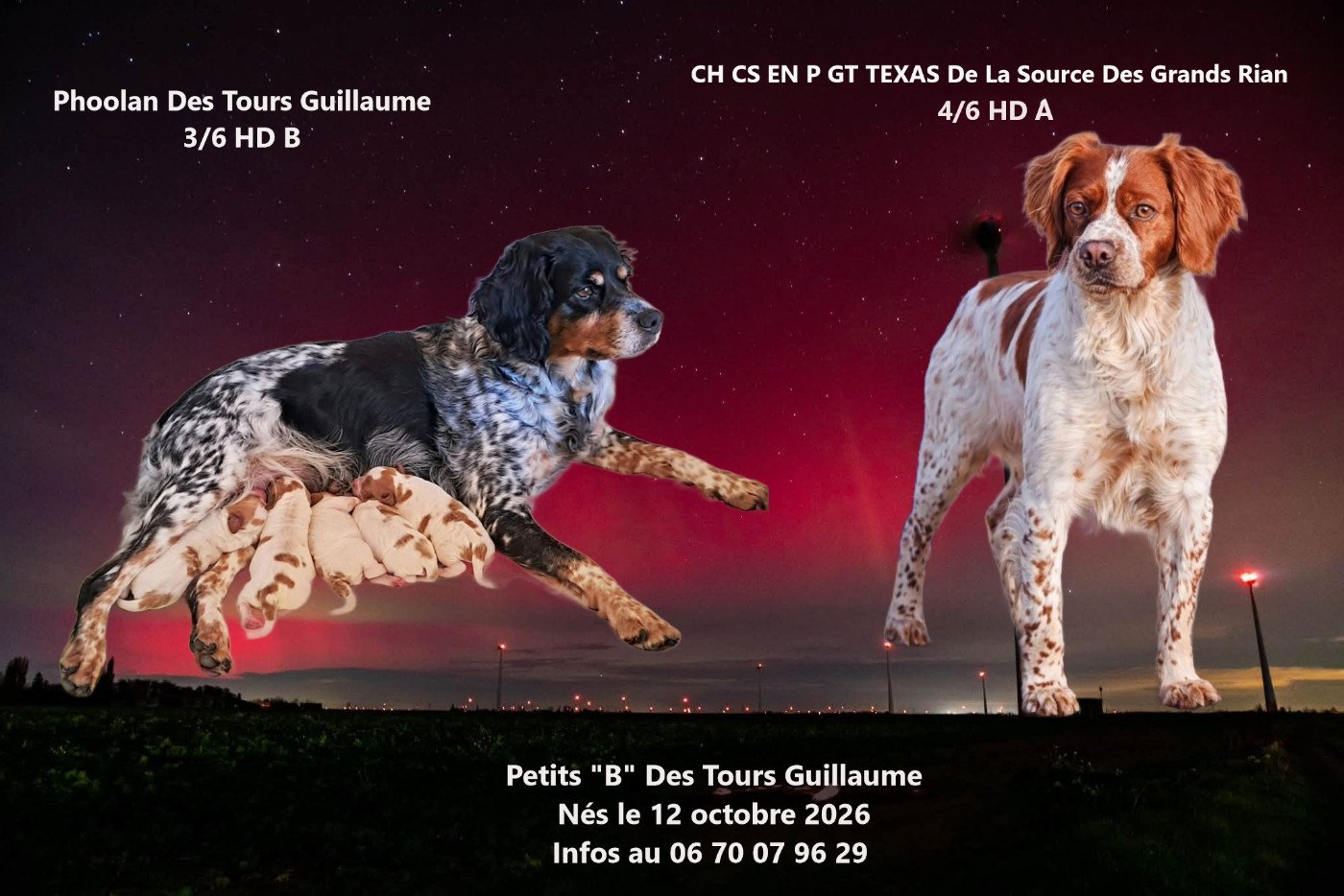 12/10/2026 : Petits B Des Tours Guillaume